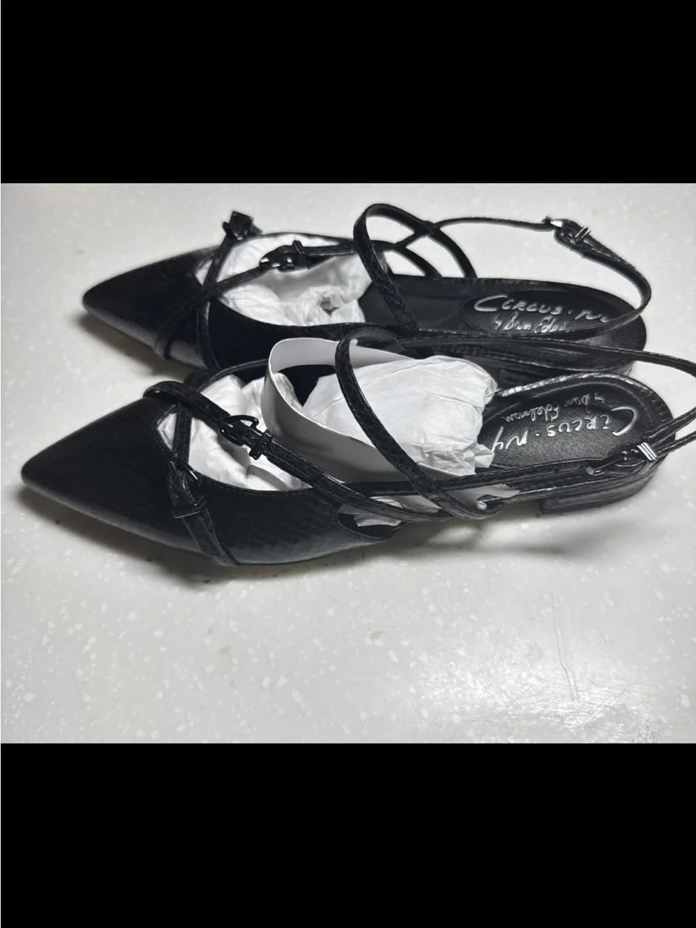 Sam Edelman sleek pointed
